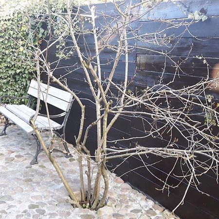Apartamento Zacisze Kalwy Exterior foto