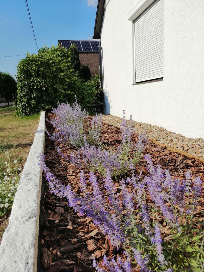 Apartamento Zacisze Kalwy Exterior foto